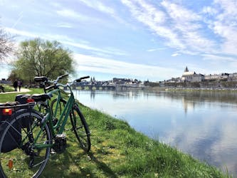 Tour en bicicleta por el Valle del Loira con visita al Palacio Real de Blois